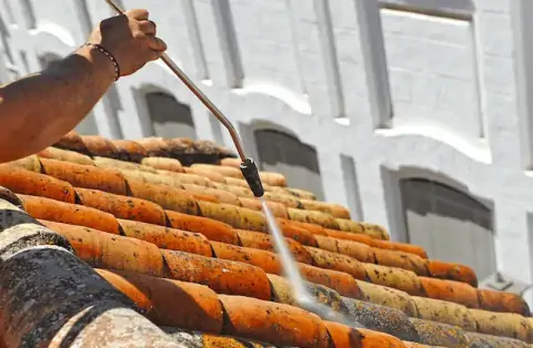 Nettoyage de toitures - Limas